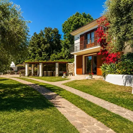 Petra Villa